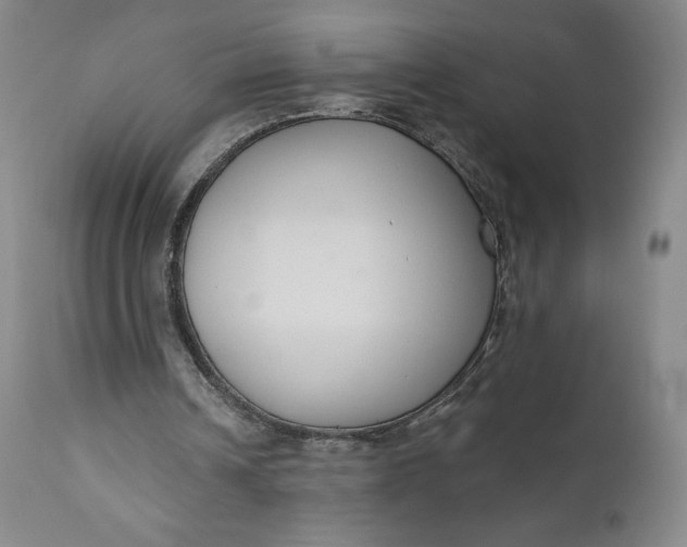 X0000111180242200907151331