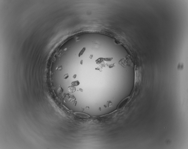 X0000111180243200907151331