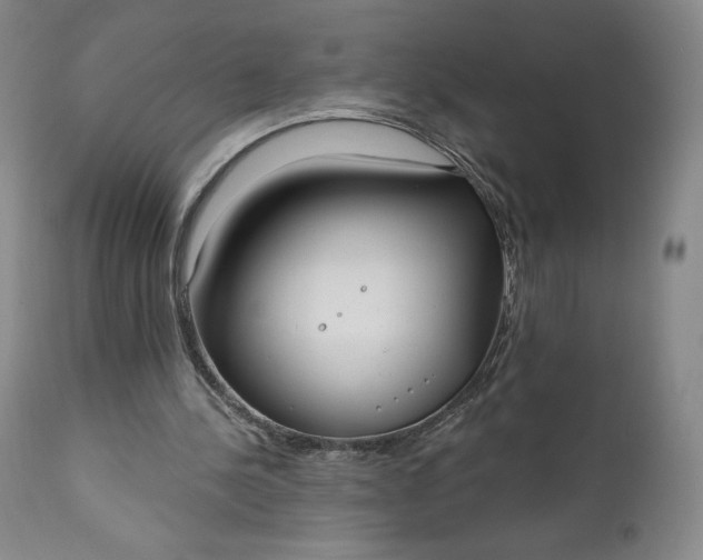 X0000111180244200907151331