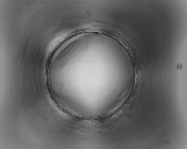 X0000111180245200907151331