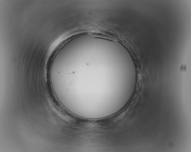 X0000111180246200907151331