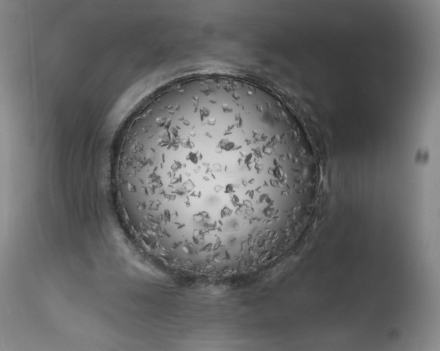 X0000111180247200907151331