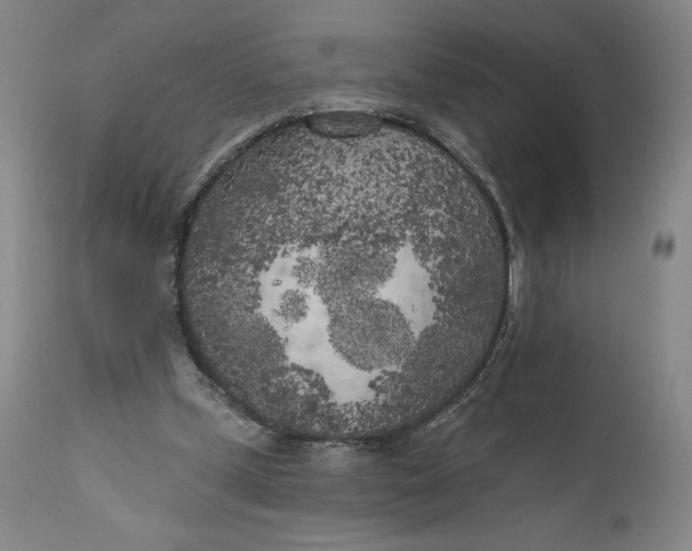 X0000111180249200907151331