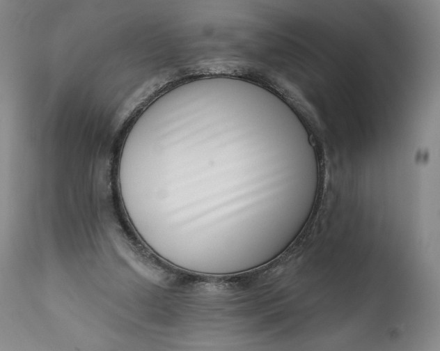 X0000111180250200907151331