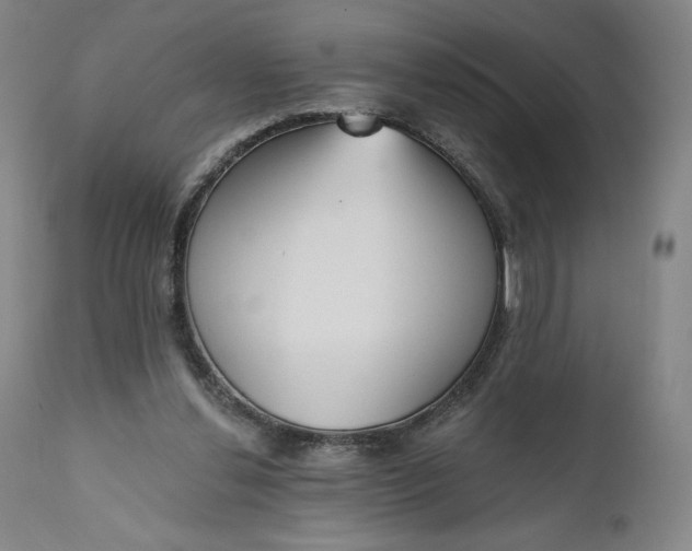 X0000111180252200907151331