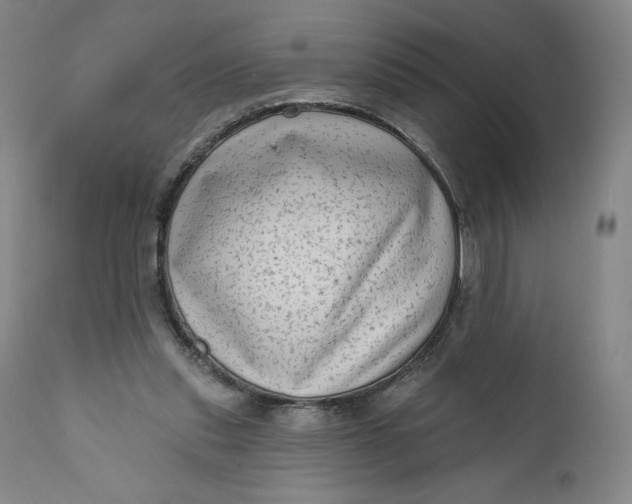 X0000111180253200907151331