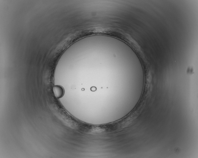 X0000111180257200907151331