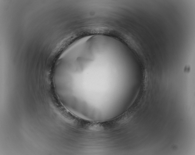 X0000111180258200907151331