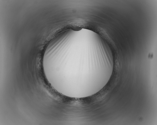 X0000111180259200907151331