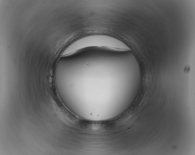 X0000111180264200907151331