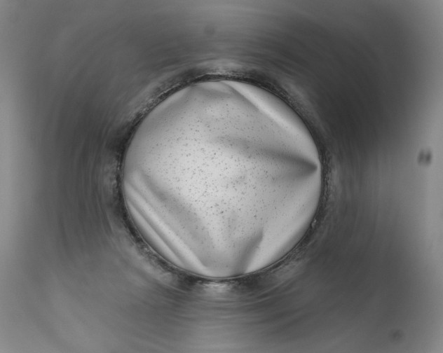 X0000111180265200907151331