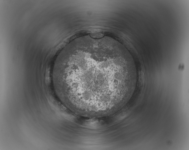 X0000111180267200907151331