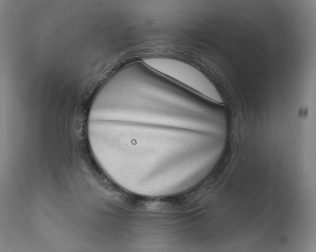 X0000111180268200907151331