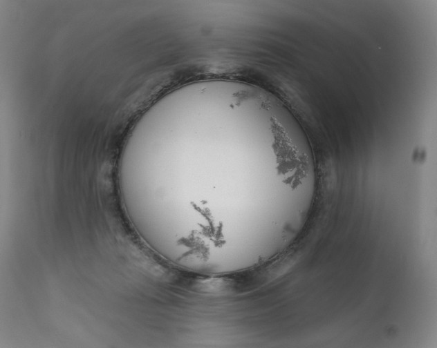 X0000111180269200907151331