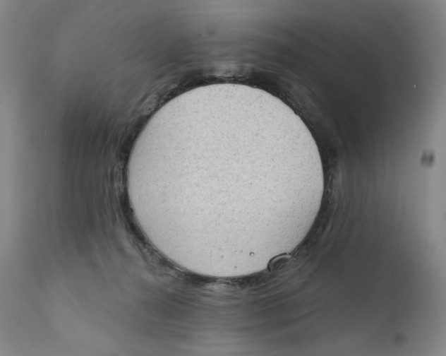 X0000111180272200907151331