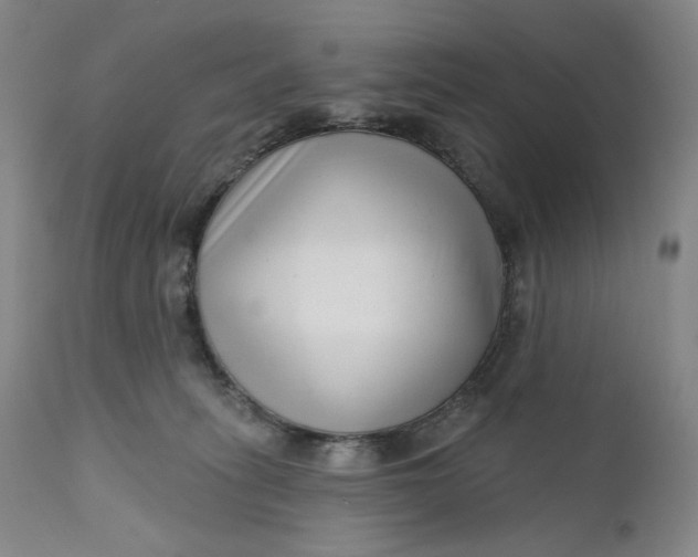 X0000111180275200907151331