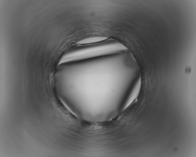 X0000111180276200907151331