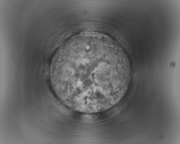 X0000111180277200907151331