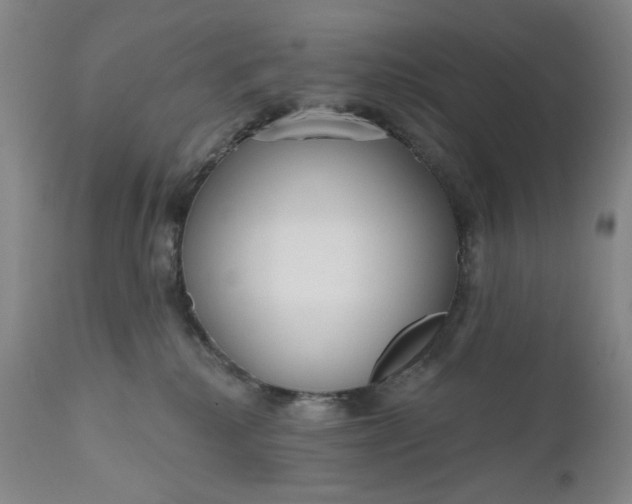 X0000111180280200907151331