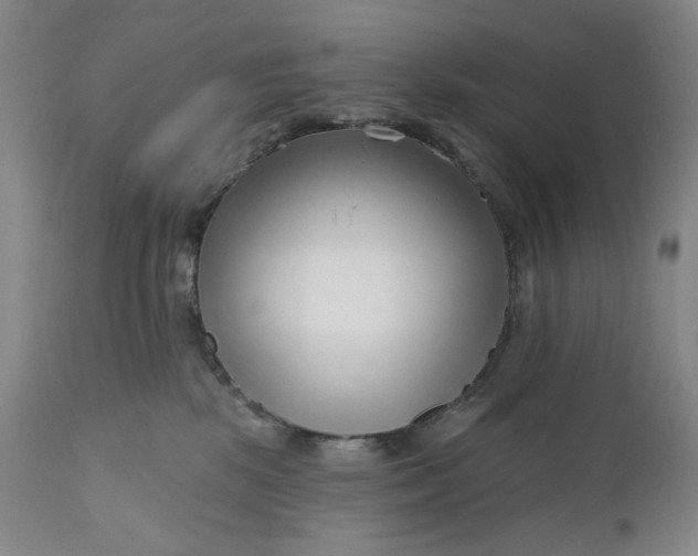 X0000111180281200907151331