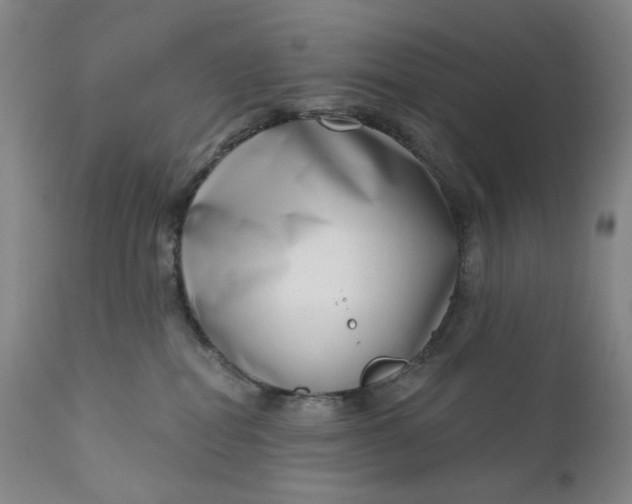 X0000111180282200907151331