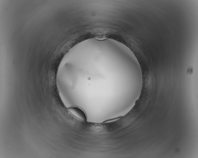 X0000111180283200907151331