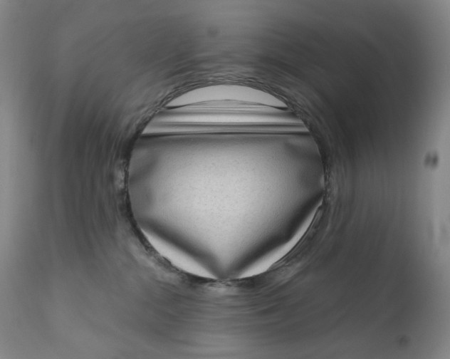 X0000111180284200907151331