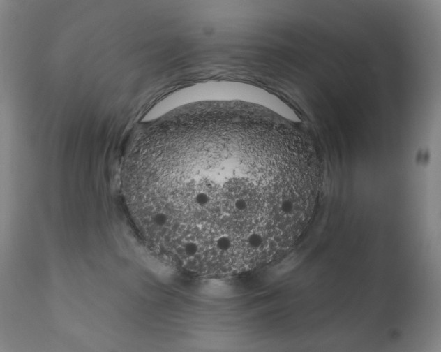 X0000111180285200907151331