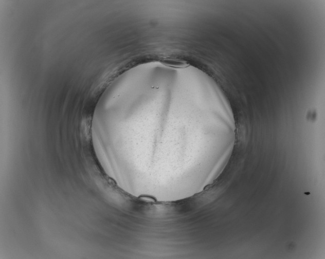 X0000111180286200907151331