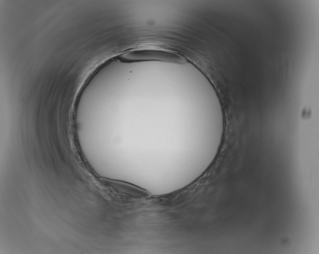 X0000111180289200907151331