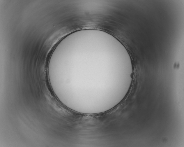 X0000111180290200907151331