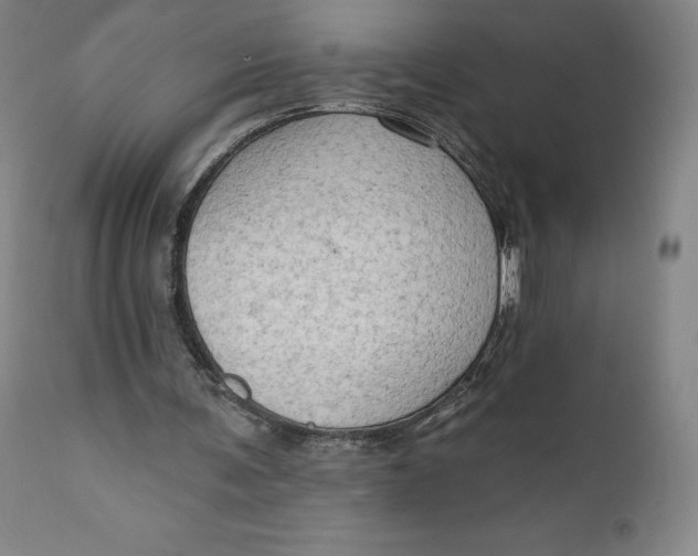 X0000111180291200907151331