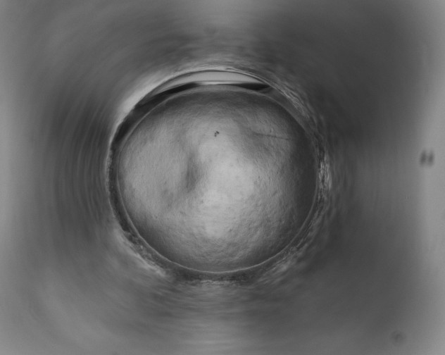 X0000111180292200907151331