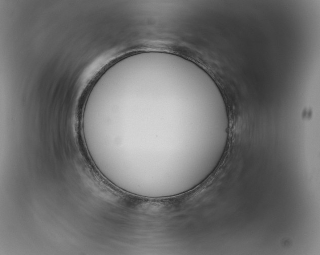 X0000111180294200907151331