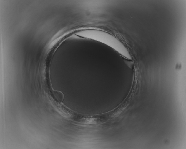 X0000111180295200907151331