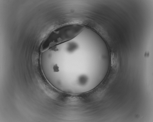 X0000111180300200907151331