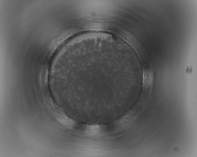 X0000111180301200907151331