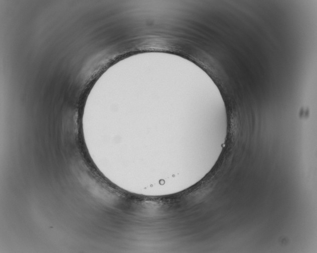 X0000111180302200907151331