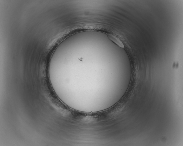 X0000111180303200907151331