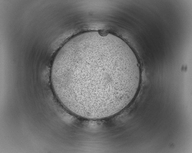 X0000111180305200907151331