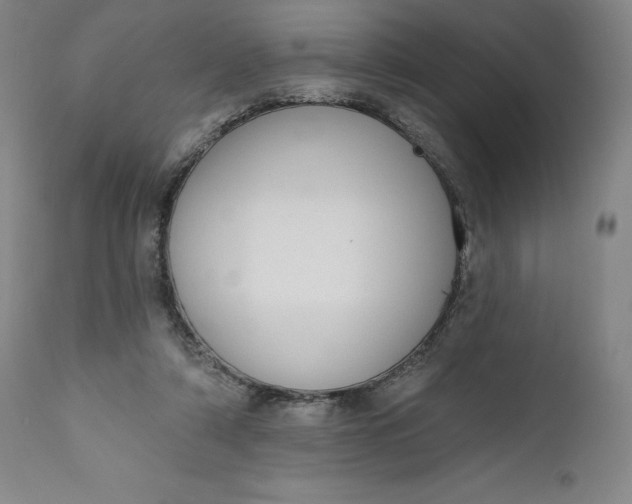 X0000111180306200907151331