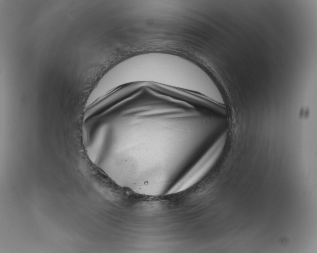 X0000111180307200907151331