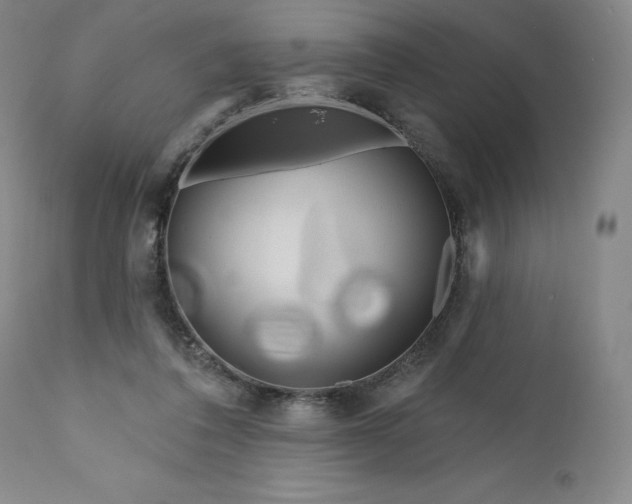 X0000111180308200907151331