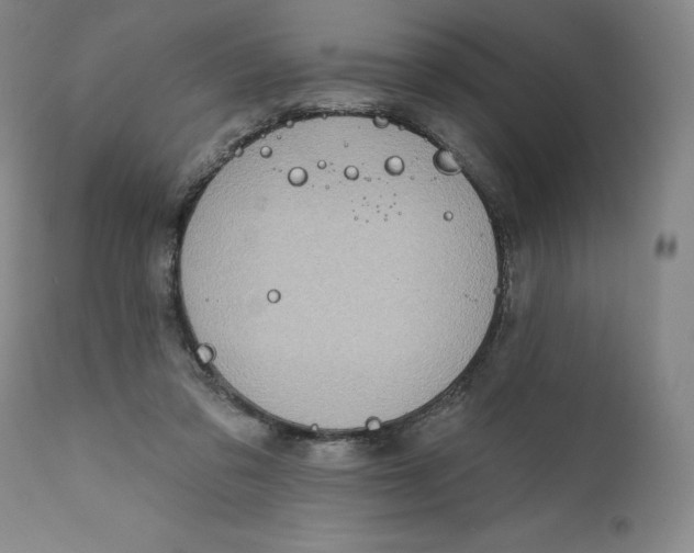 X0000111180309200907151331