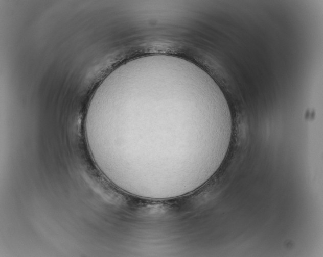 X0000111180310200907151331