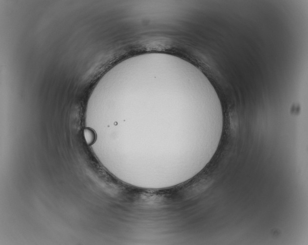 X0000111180311200907151331