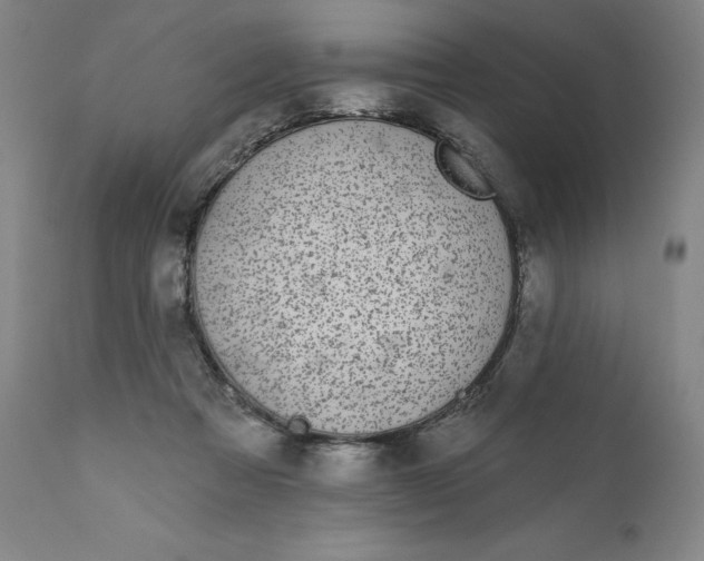 X0000111180313200907151331