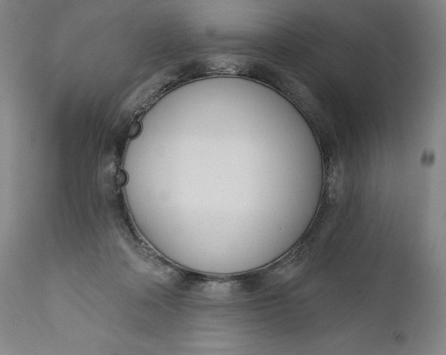 X0000111180314200907151330