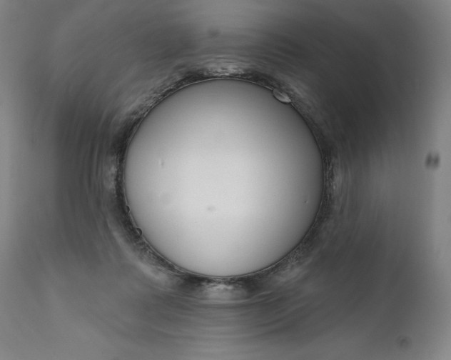 X0000111180315200907151330