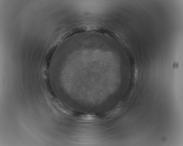 X0000111180316200907151330